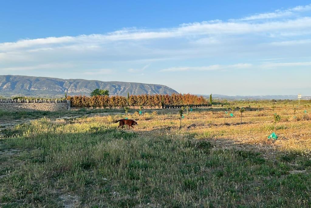 Village House Of Jean Горд Экстерьер фото